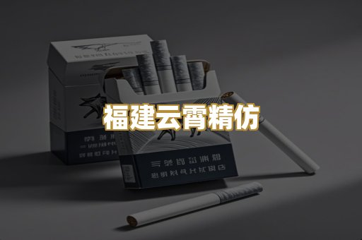 福建云霄精仿